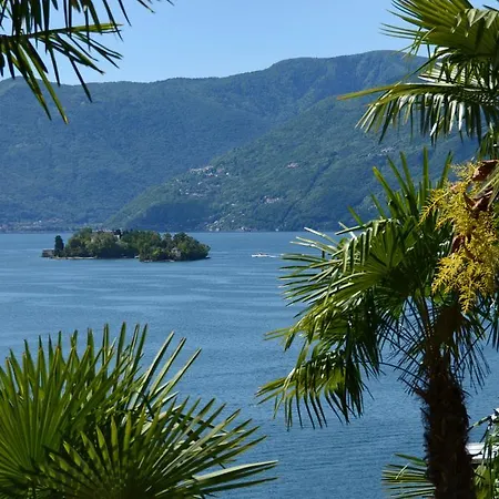 Arancio Ascona